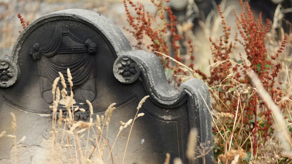Grave Cleaning and Restoration, Laois, Leinster, Ireland