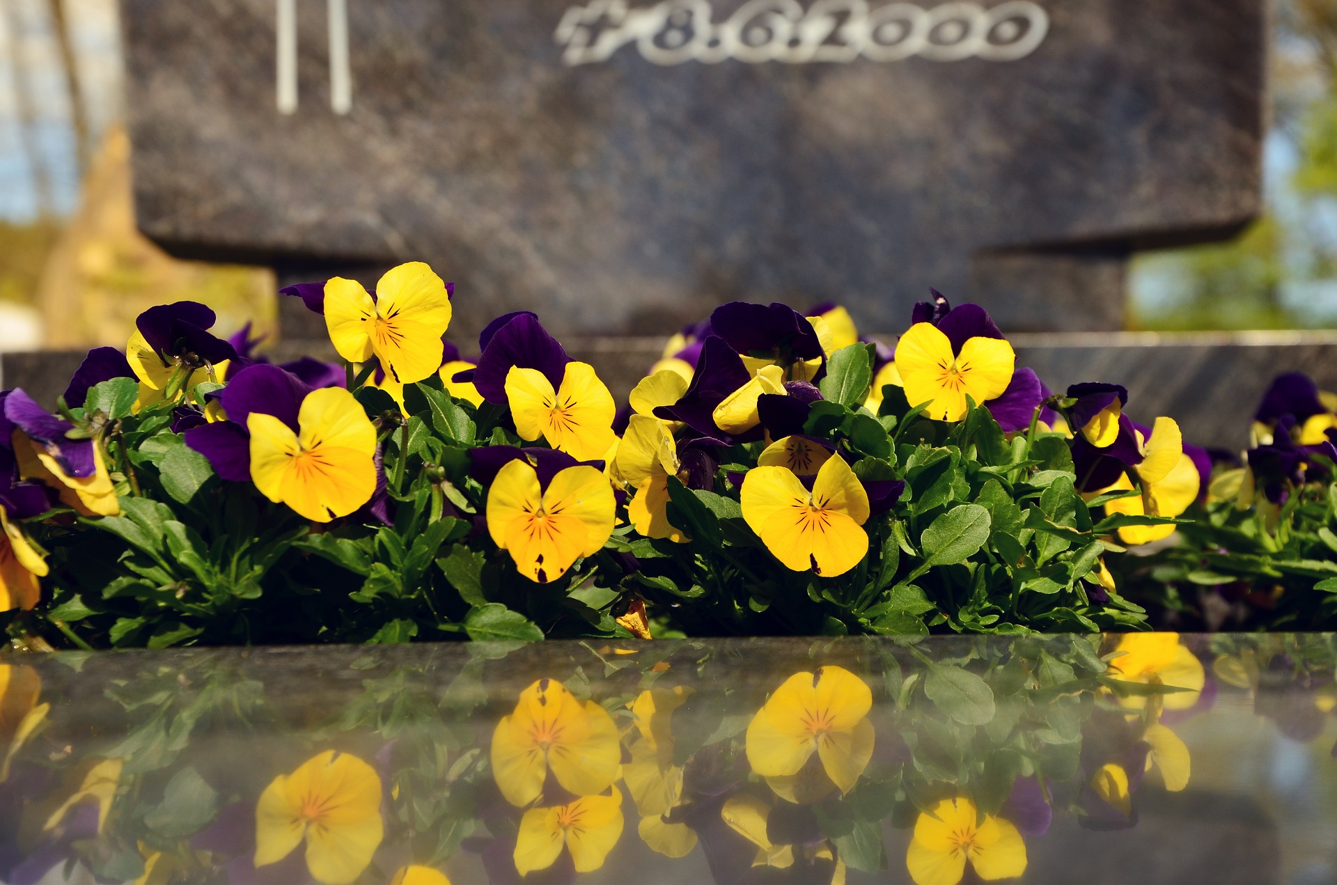 Grave Maintenance Service, Laois, Leinster, Munster, Dublin, Ireland
